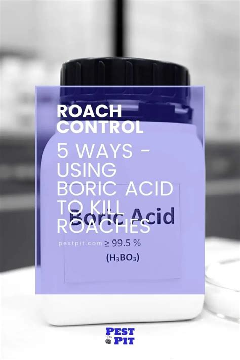 5 Ways - Using Boric Acid To Kill Roaches - Pest Pit