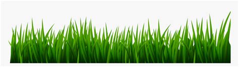 Green Grass Line Art, HD Png Download - kindpng