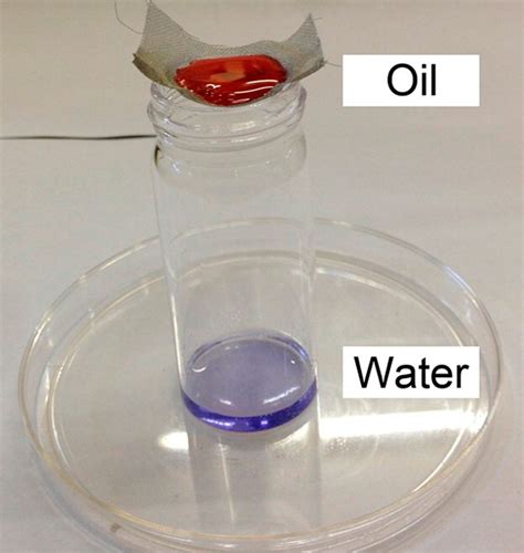 Smart Coatings Separate Oil And Water