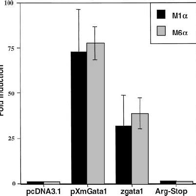 Detection of a nonsense point mutation in gata1 . ( a ) The chromato ...