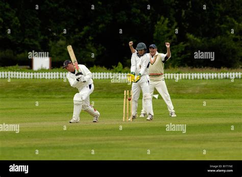 batsman bowled out Stock Photo - Alamy