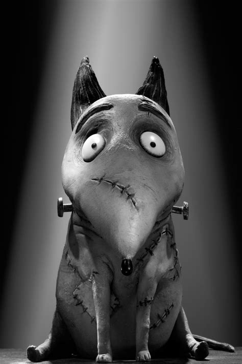 FRANKENWEENIE Character Images | Collider