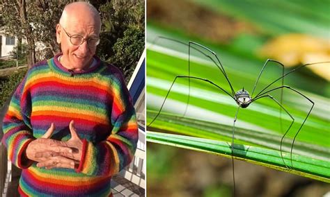 Scientist Dr Karl says daddy long leg spiders can bite you - Trendradars Latest