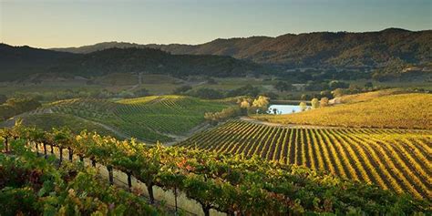 Top 30 Unbelievable Vineyards at Napa Valley