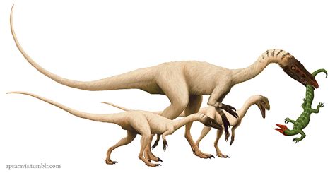 A Dinosaur A Day: Coelophysis bauri, C. rhodesiensis, C....