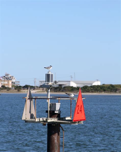 Scarlett Design: Ocracoke Island Ferry