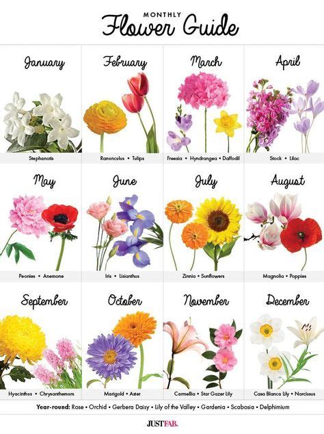 Monthly flower guide - a must-have graph to learn what's in season! | Birth flowers, Birth month ...