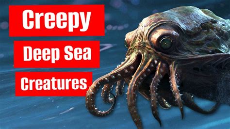 Top 5 Creepiest Deep Sea Creatures - YouTube