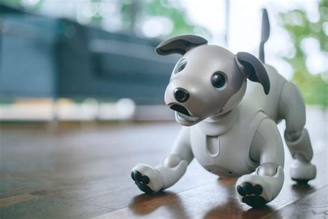 Sony's Robot Dog Uses Artificial Intelligence to Learn and Develop a ...