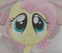 Fluttershy Meme Fluttershy Mlp GIF – Fluttershy meme Fluttershy mlp ...