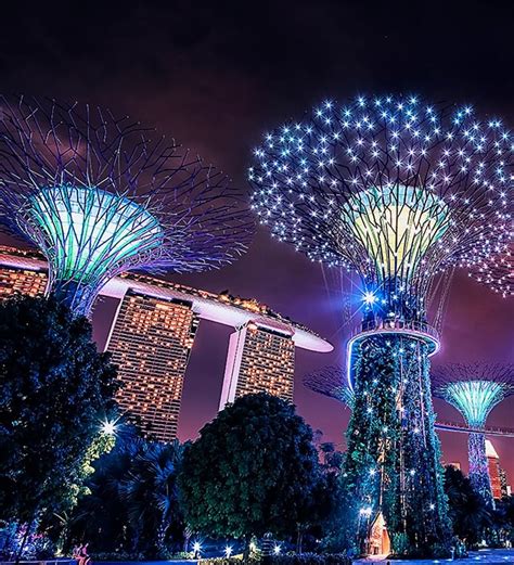 Gardens by the Bay | Singapore Travel Guide | Marina Bay Sands