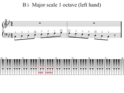 B-flat Major scale 1 octave (left hand) | Piano Fingering Figures