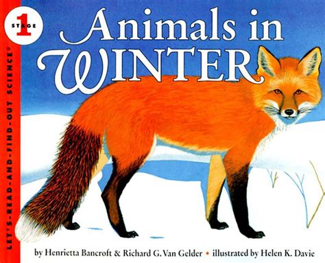 Animals in Winter - Henrietta Bancroft - Paperback