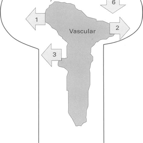 CSF barriers and sources: 1 = blood-CSF barrier; 2 = blood-brain ...