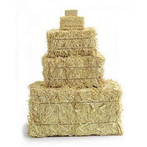 Mini Hay Bales - 10 inch miniature straw bales