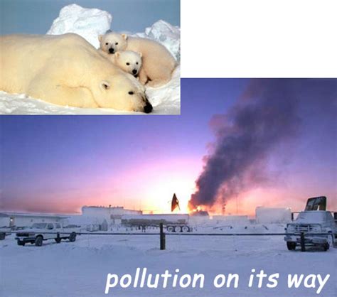 Arctic: pollution on its way. Oil drilling in Chukchi Sea threatens ...