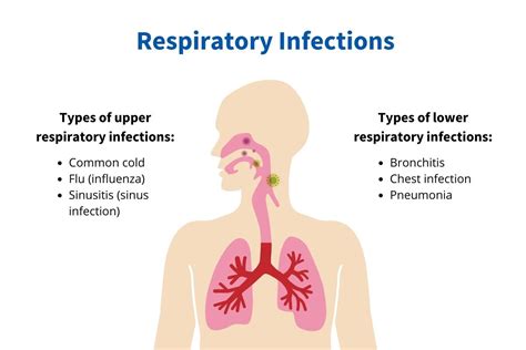 Summer Respiratory Virus 2024 - Joyce Lorilyn