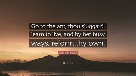 Elizabeth Smart Quote: “Go to the ant, thou sluggard, learn to live, and by her busy ways ...