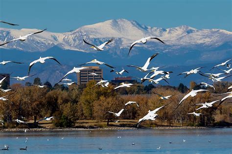 Cherry Creek Reservoir - WorldAtlas