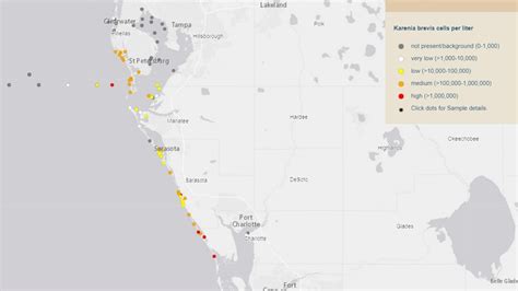 Red tide in Florida looms at unusual time of the year | wtsp.com