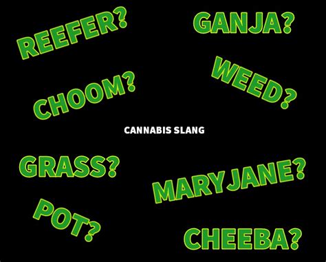 Cannabis Slang Words - Watch Your Pot-ty Mouth!