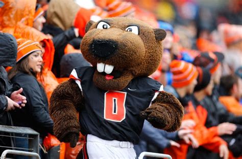 Oregon State Football: Beavers to hire Beau Baldwin as next head coach