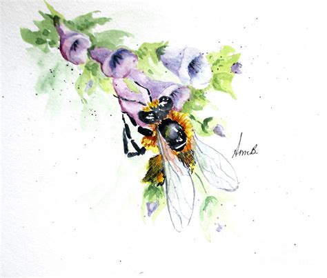 Watercolor Honey Bee at PaintingValley.com | Explore collection of Watercolor Honey Bee