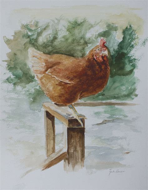 Spring Chicken in Watercolor | Frank Omier Fine Art