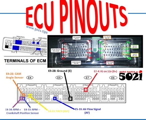 ECU PINOUTS – HAPA UJANJA tu👨🏼‍🎓