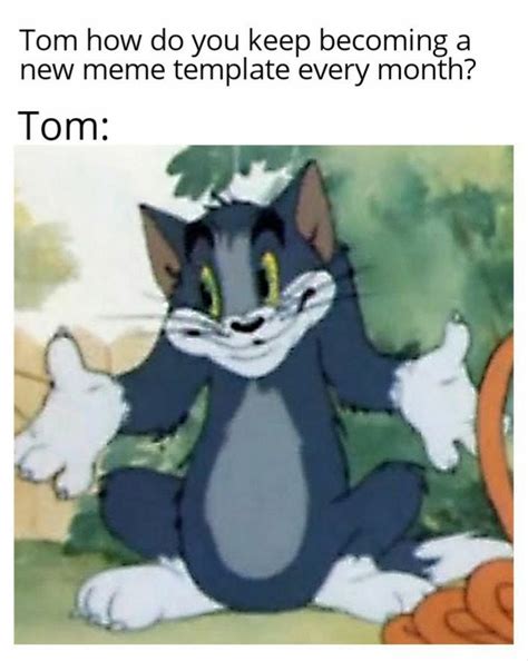 Tom Cat Meme