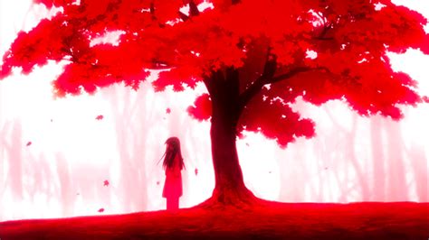 a person standing under a large tree in the middle of a forest on a foggy day