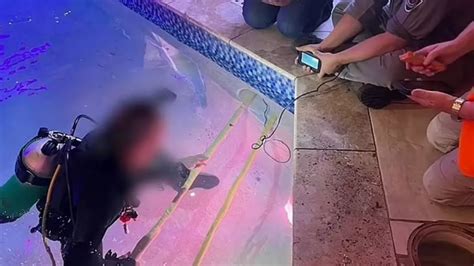 Girl, 8, drowns in Hilton hotel pool after being sucked into pipe and ...