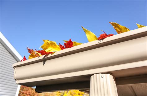 Leaf Relief, 10% off Gutter Guards | Gutter Up