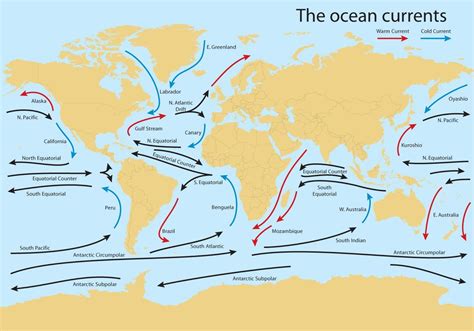 Ocean Current Worldmap Vector | Ocean current, Ocean currents map, Geography map