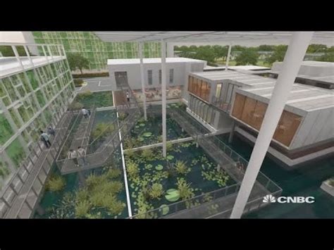 We have the power to change the way we grow food – vertical farming! - Sustainable Earth