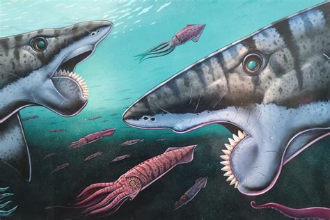 √ buzz helicoprion shark in real life 779445-Buzz helicoprion shark in real life