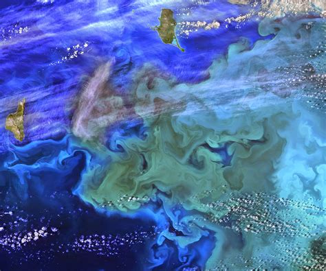 Suburban spaceman: NASA LandSat-8: Phytoplankton green blue algae bloom near the Pribilof Islands