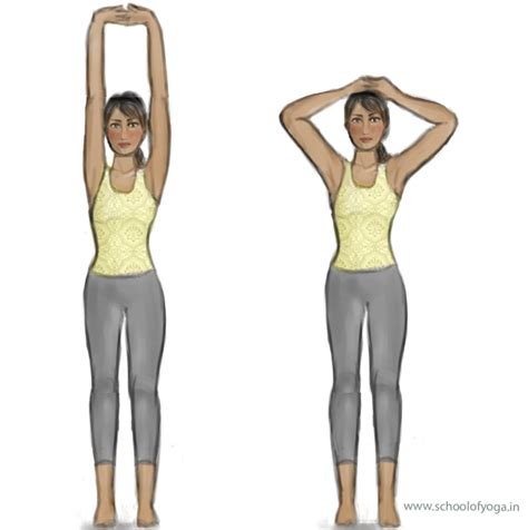 Tadasana – Mountain Pose - School of Yoga