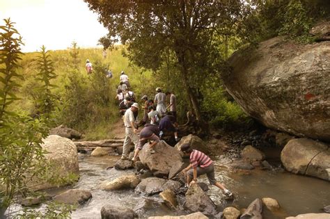 Alpine Heath Resort | The Drakensberg