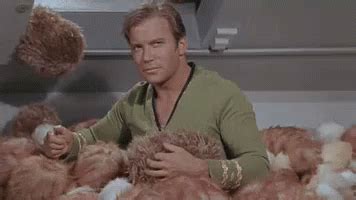 It'S Raining Tribbles - Star Trek GIF - Star Trek - Discover & Share GIFs