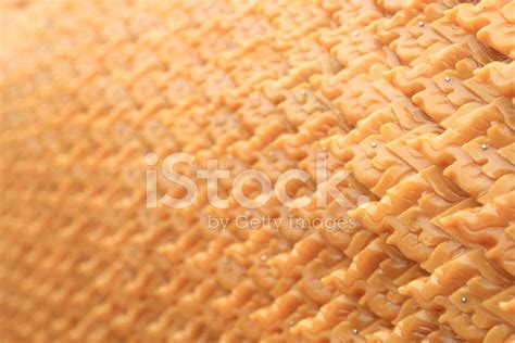 Candle Wax Carving Texture Stock Photo | Royalty-Free | FreeImages