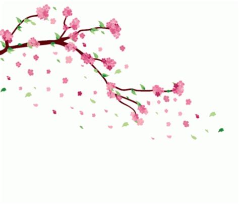 Flowers Cherry Blossoms GIF - Flowers Cherry Blossoms - Discover & Share GIFs