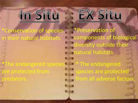 In Situ vs Ex Situ Conservation