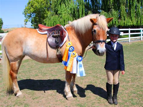 Lessons — Highland Riding Stable