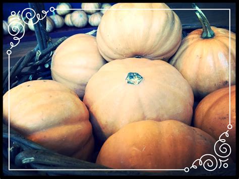 Simple Seminole Pumpkin Soup - Four Corners Farm