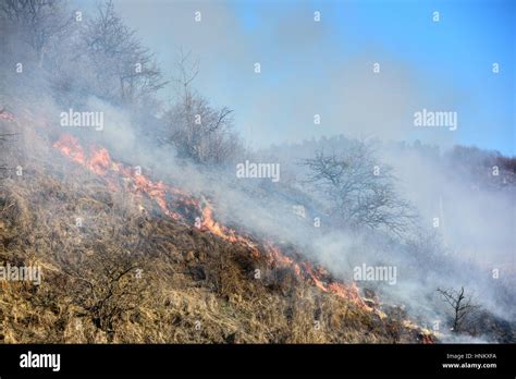 Smoke and air pollution Stock Photo - Alamy