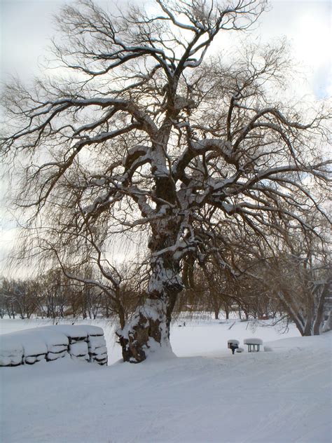 Chautauqua Lake | Chautauqua lake, Chautauqua county, Winter scenes