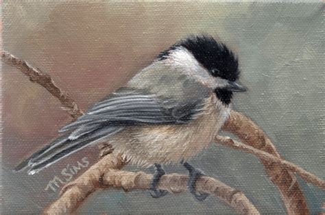 Black Capped Chickadee Chickadee Art Bird Art Chickadee - Etsy