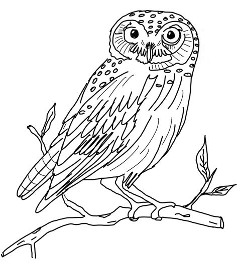 Snowy Owl coloring page - Animals Town - animals color sheet - Snowy ...