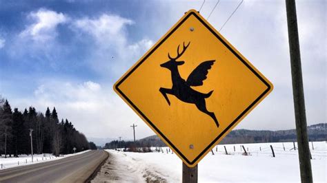 Funny road signs from around the world | escape.com.au